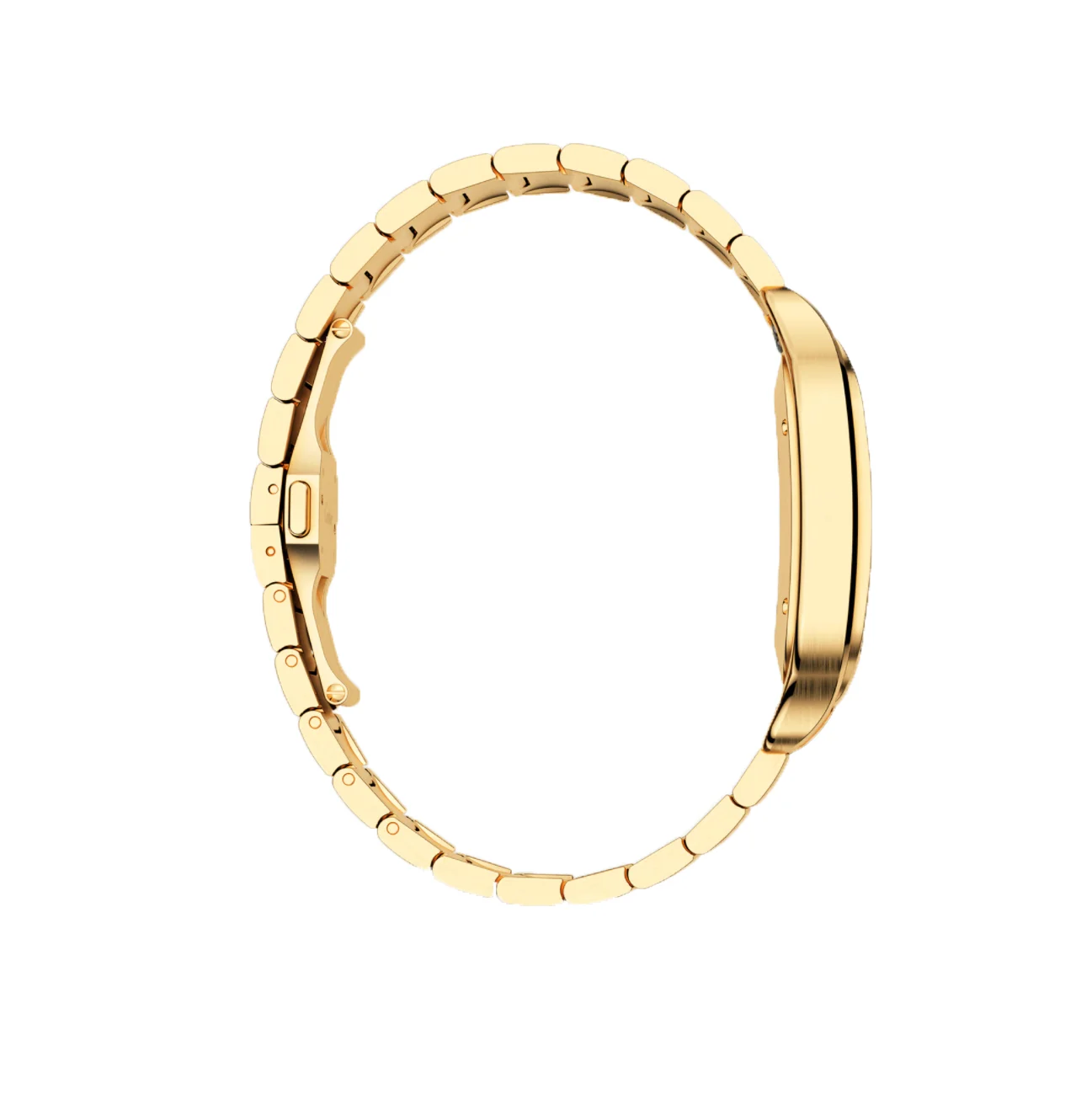 Montre Cartier Santos WGSA0009 Pour Homme – gallery view