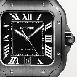 CARTIER SANTOS BLACK Silicone – gallery view