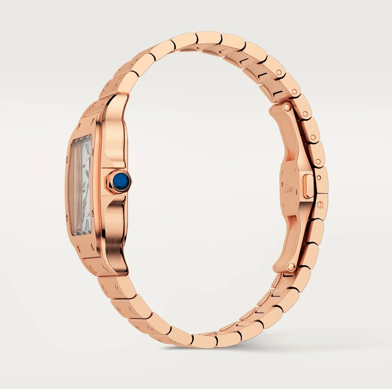 Montre Cartier Santos WGSA0018 Pour Homme – gallery view