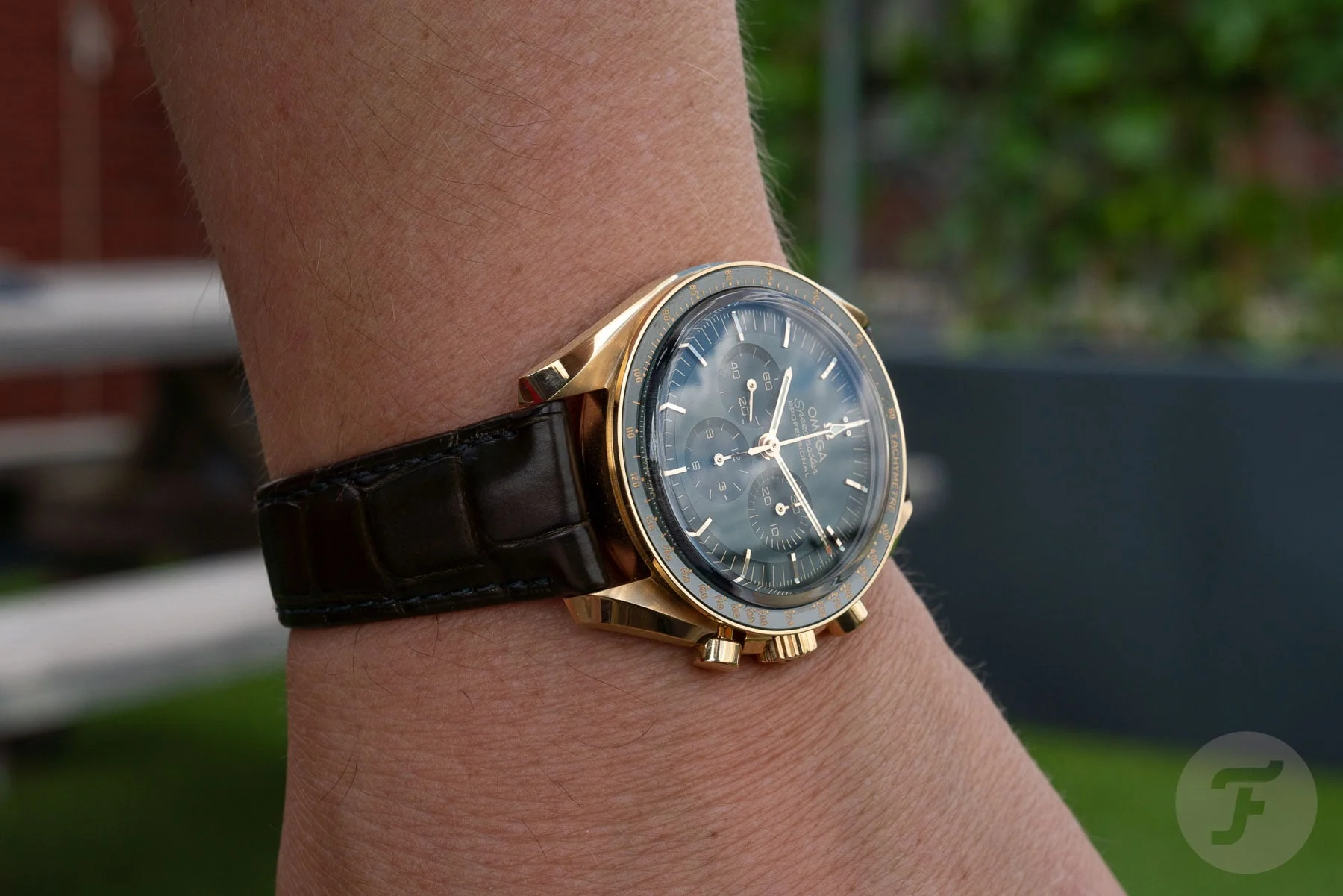 Omega Speedmaster Moonshine Cuir – gallery view